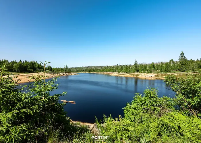 度假居 Panorama-lodge 48 - Im Harz